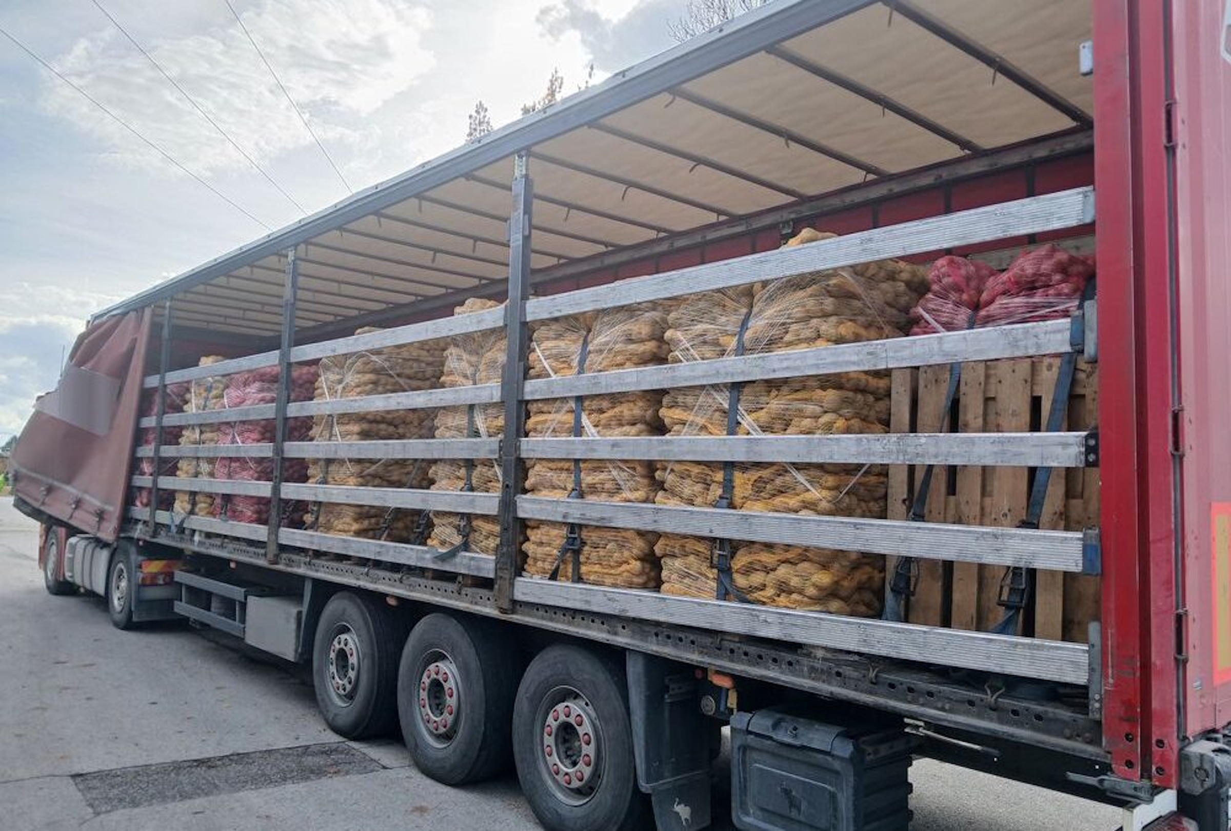 Zatrzymali transport ziemniaków. W środku "bomba biologiczna"