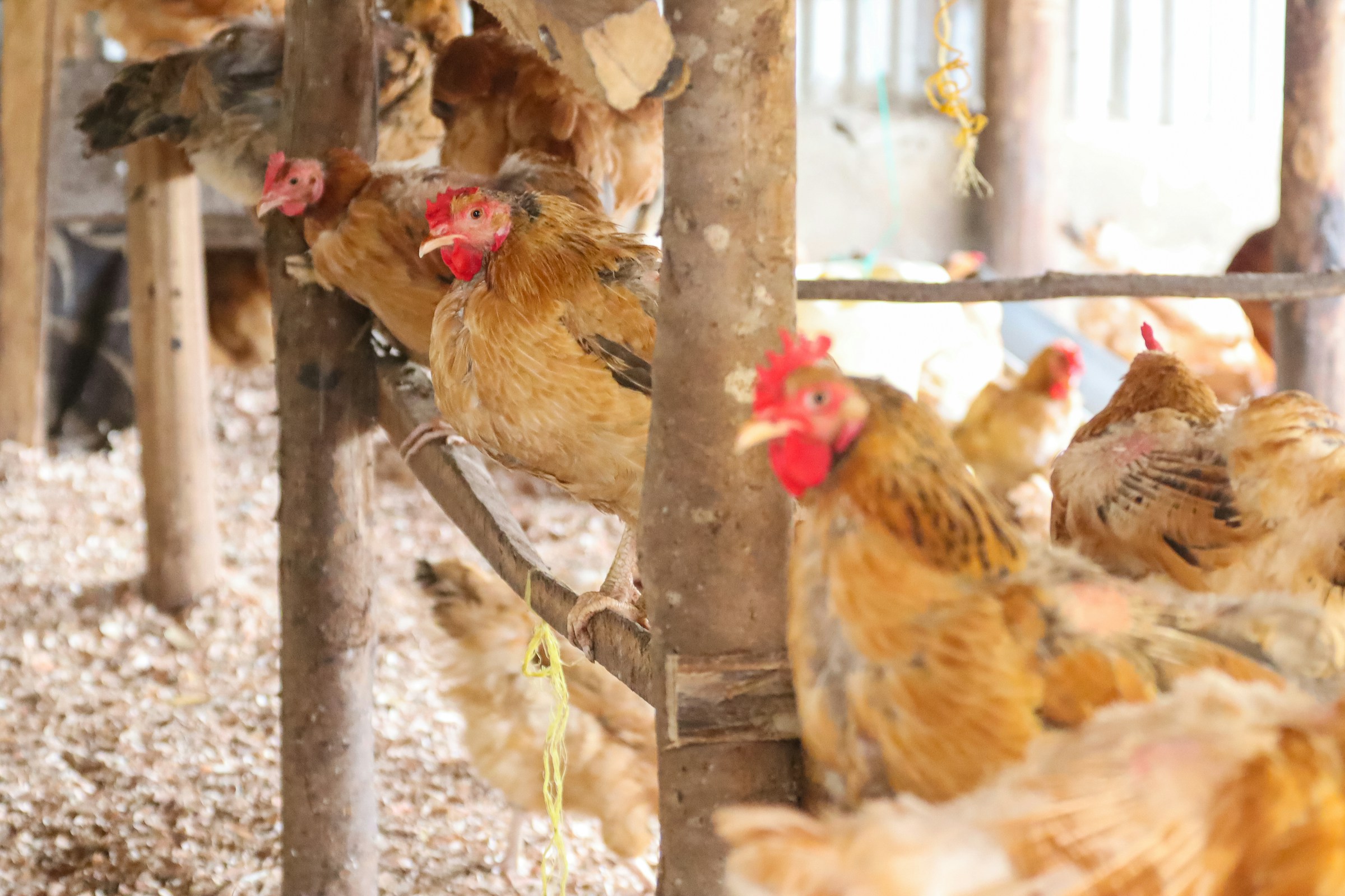 W 2025 r. państwo wydało na ten cel 1,8 mld zł. Miało być znacznie mniej