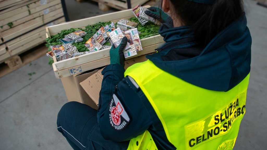 Przemyt roku. Białoruskie "fajki" pomiędzy pietruszkami