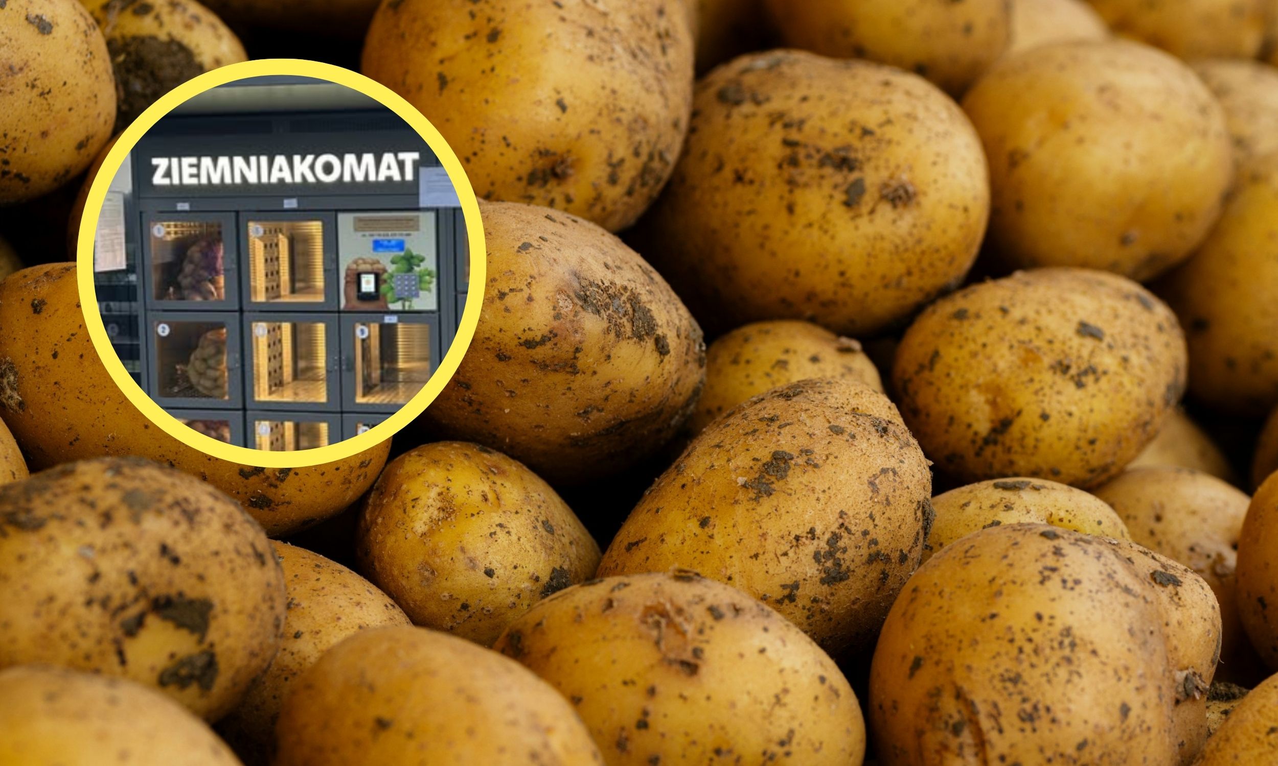 Nikt nie prosił, każdy potrzebował. Ziemniakomat to absolutny hit