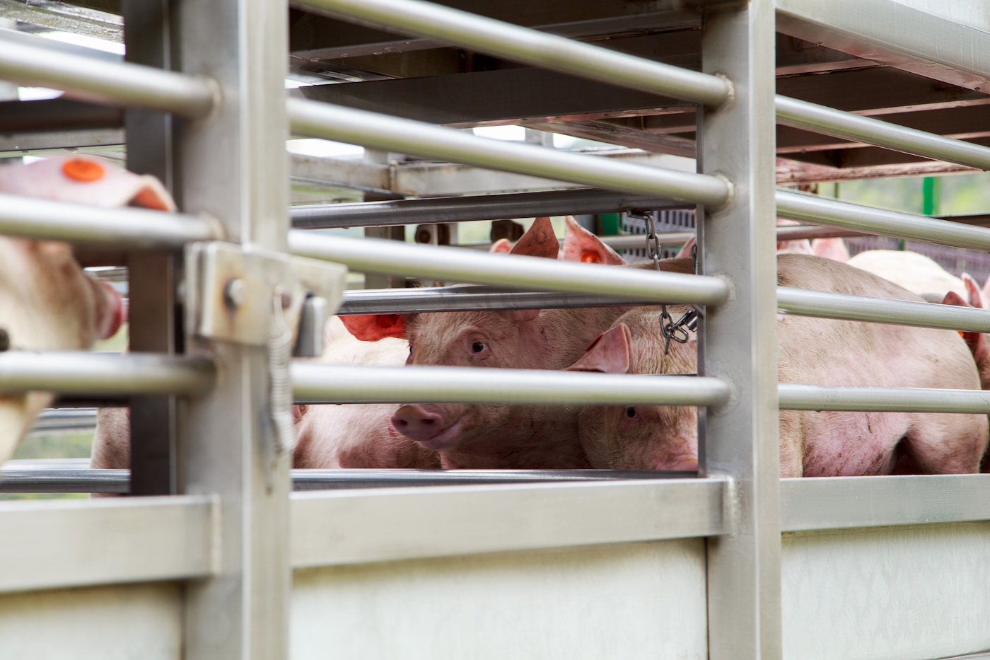 Chiny obniżają cła antydumpingowe. Dobre wieści dla Polski i UE
