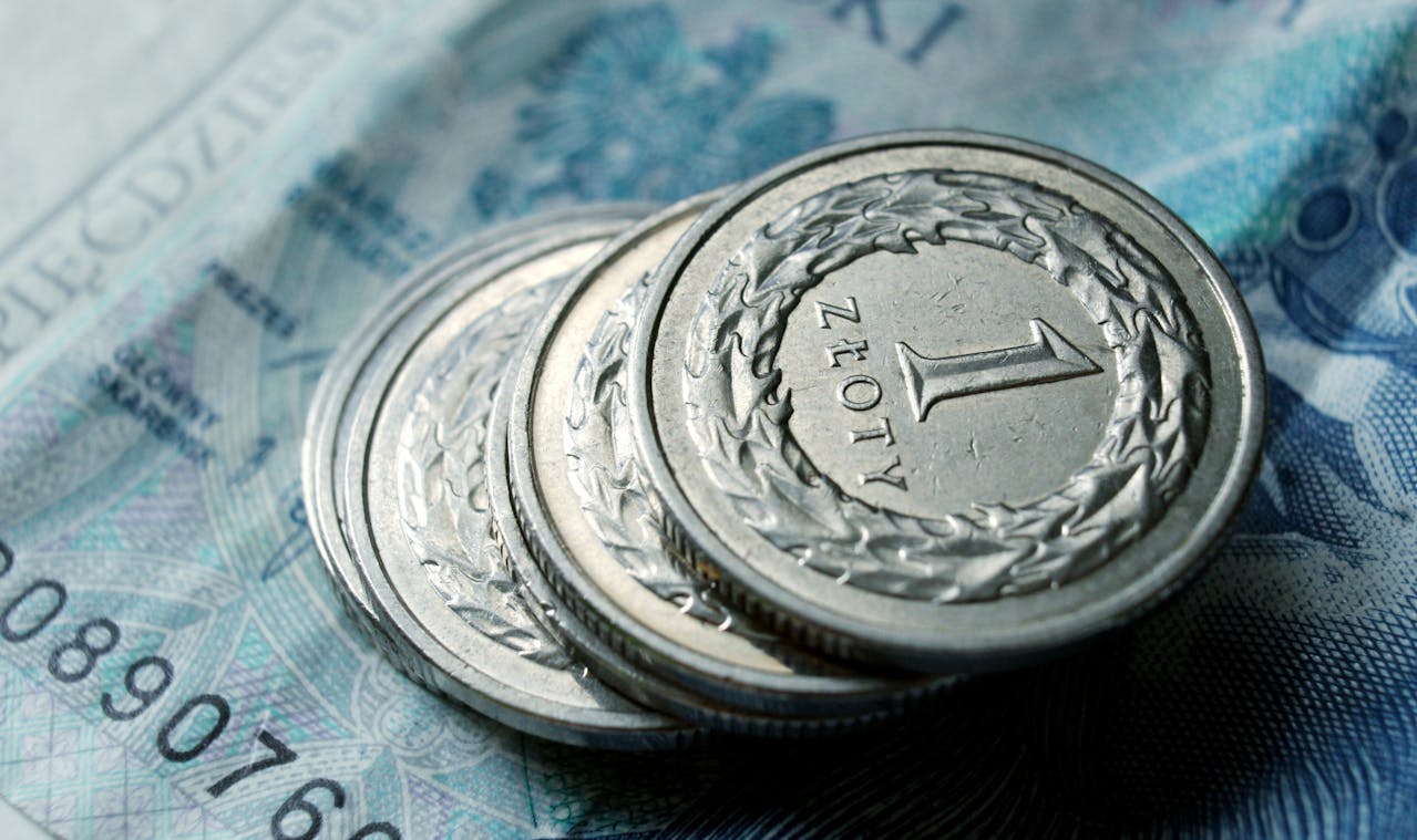 ZUS podał oficjalne dane. Tylu obcokrajowców sięgnie po polską emeryturę