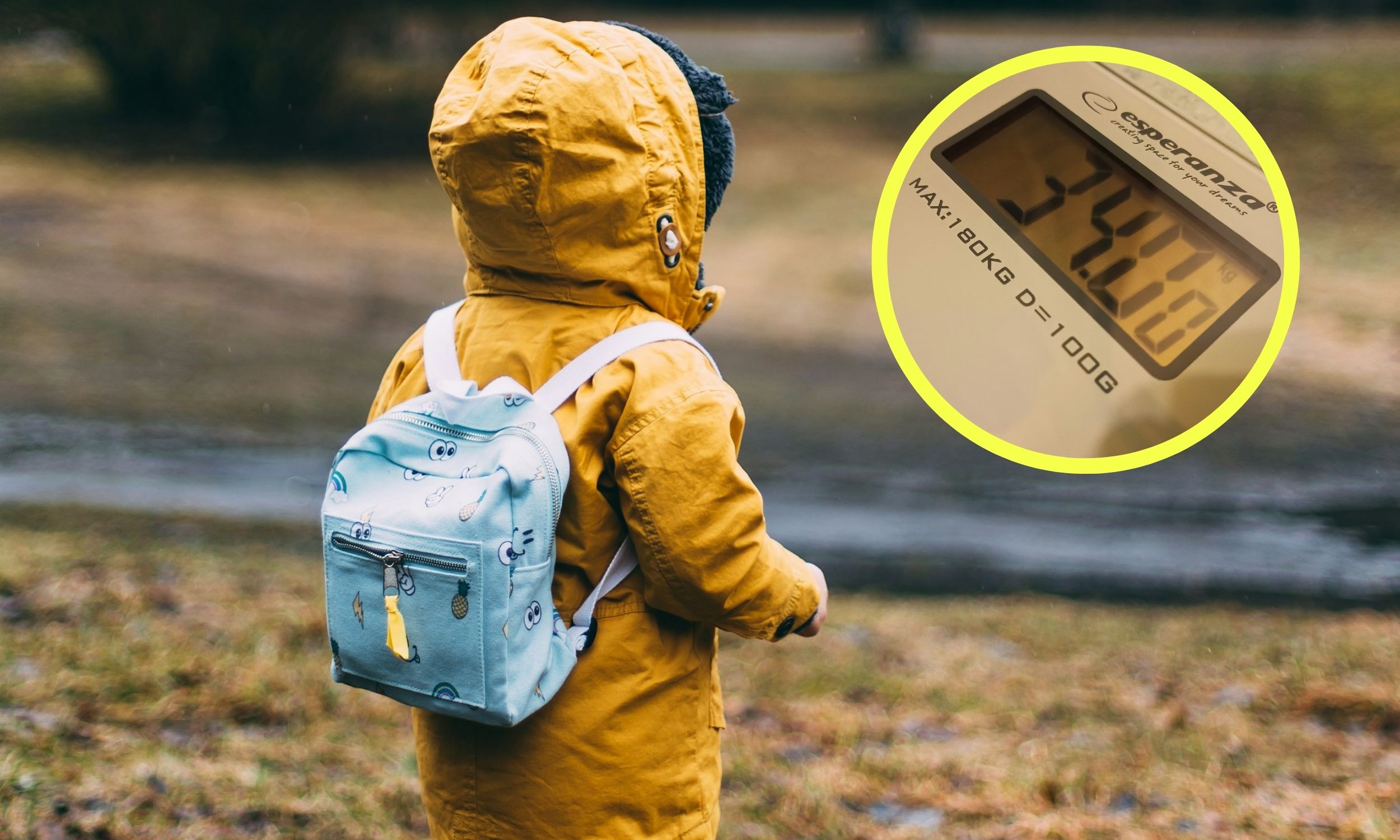 Plaga otyłości w Polsce. Dane nie kłamią