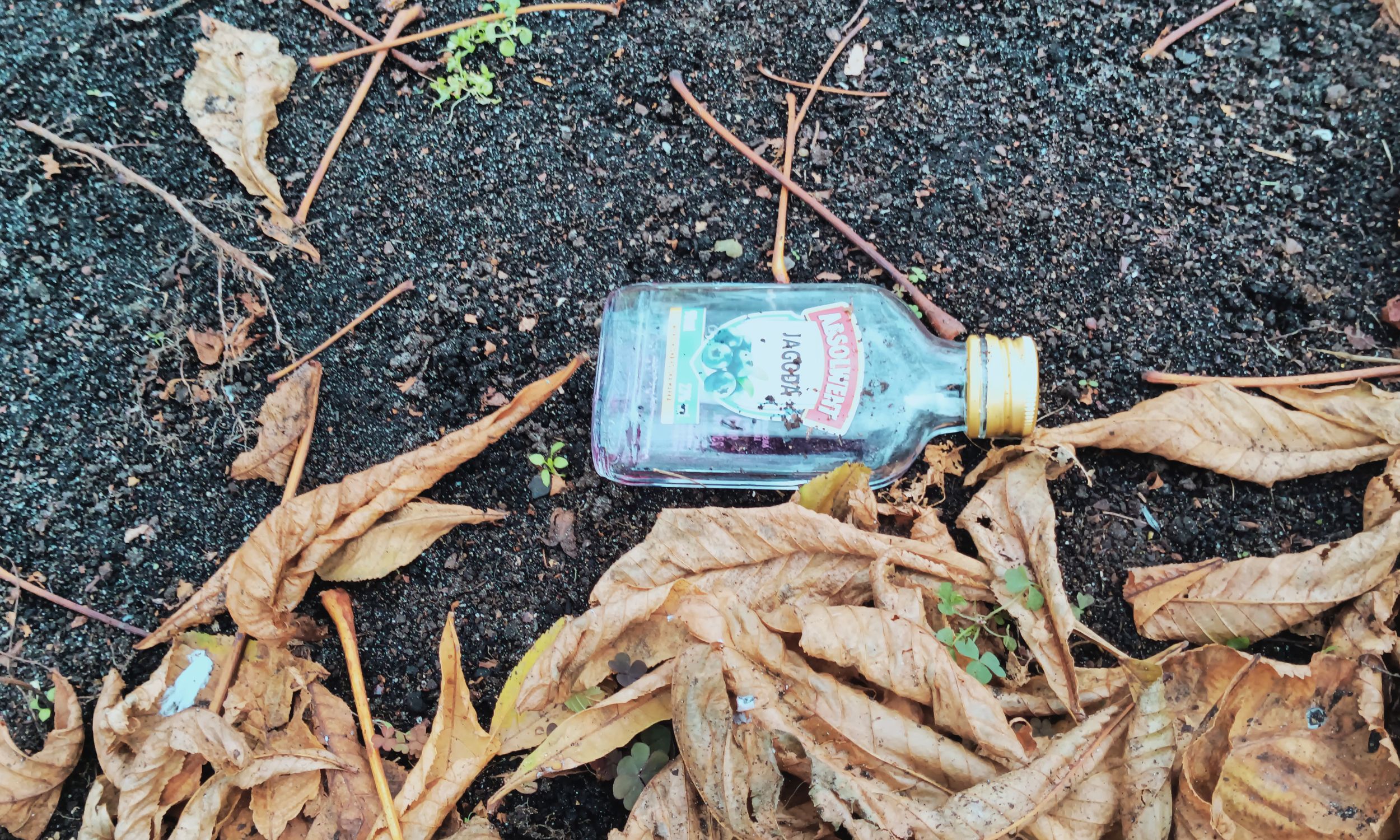 "Małpki" to plaga. Senat przygląda się nowej opłacie