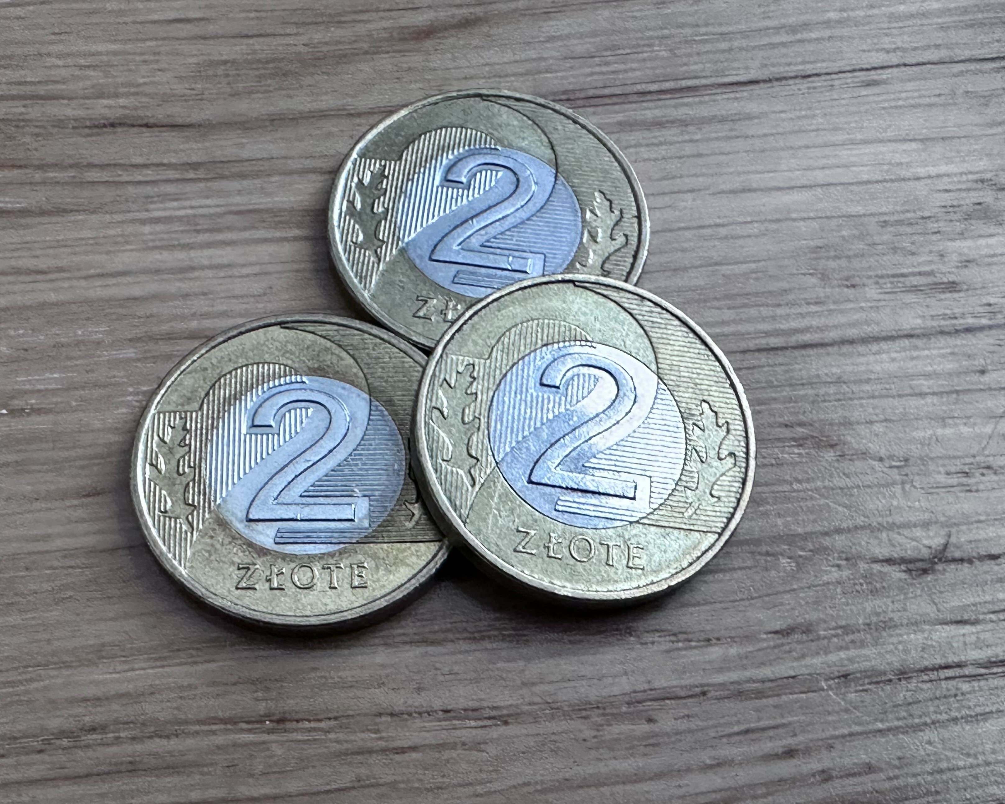 Sprawdź, czy masz dwuzłotówkę z tego roku. Jest warta kilkaset złotych