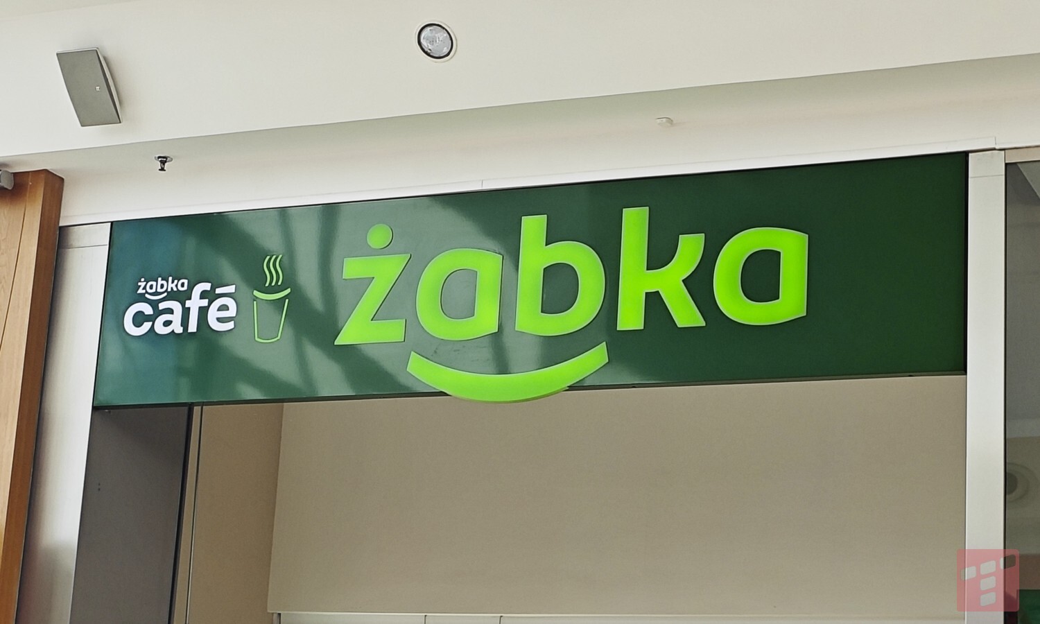 Akcje Żabki wysoko w górę. Znacznie powyżej oczekiwań