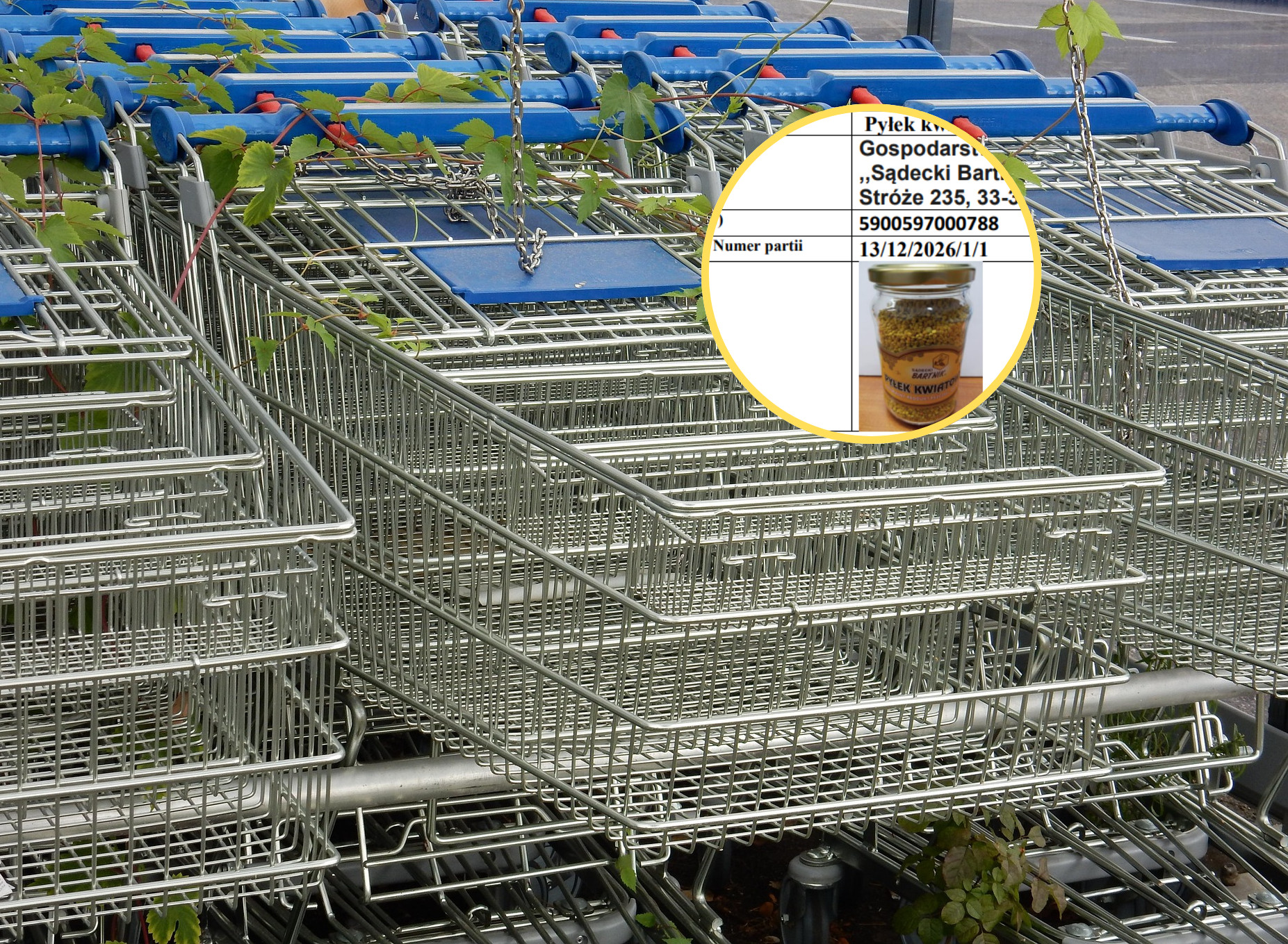 Niebezpieczny produkt w Auchan. Sieć apeluje o zwrot skażonej partii