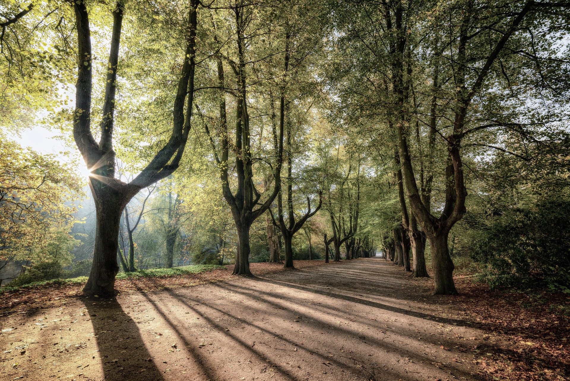Powstanie nowy Park Narodowy w Polsce. Wiadomo, ile będzie kosztować